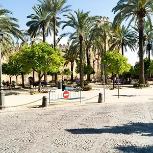 étnico Apartamento