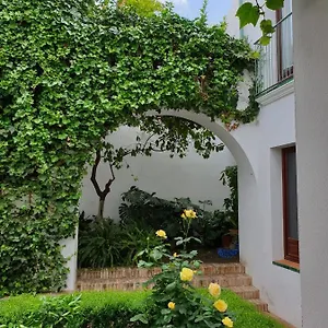 Entre 2 Mezquitas Apartamento